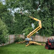 Lawn Grading and Leveling in Granger, IN